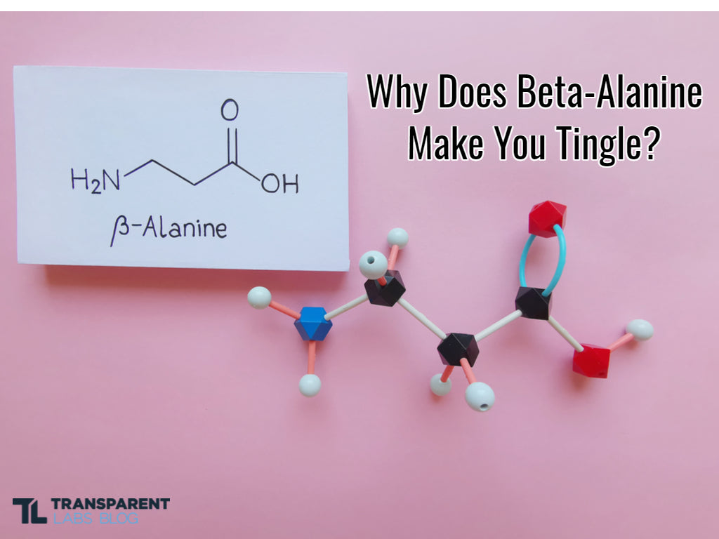 What's the Proper Dosage of Beta-Alanine?