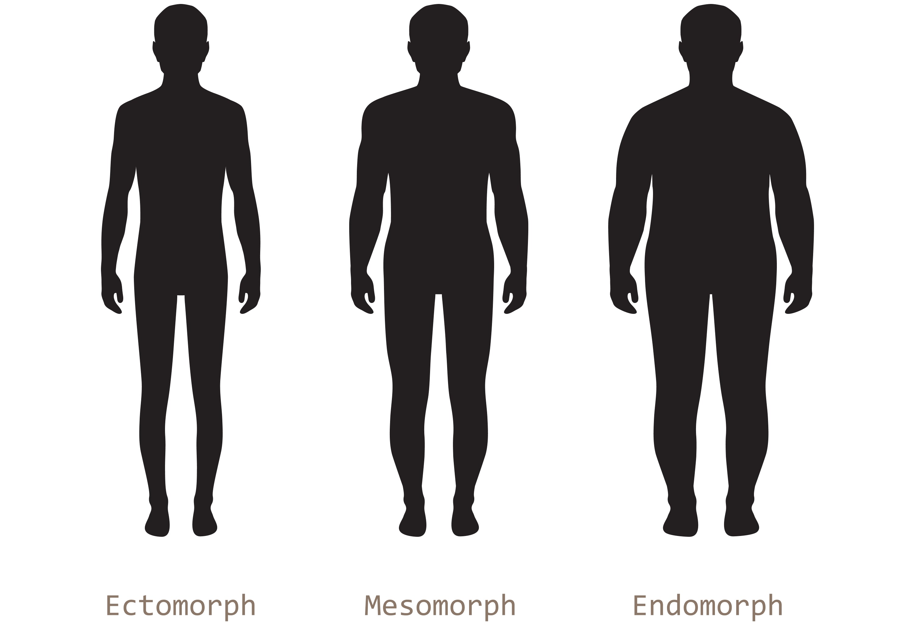 3 Different Body Types: Ectomorph vs Endomorph vs Mesomorph - SET