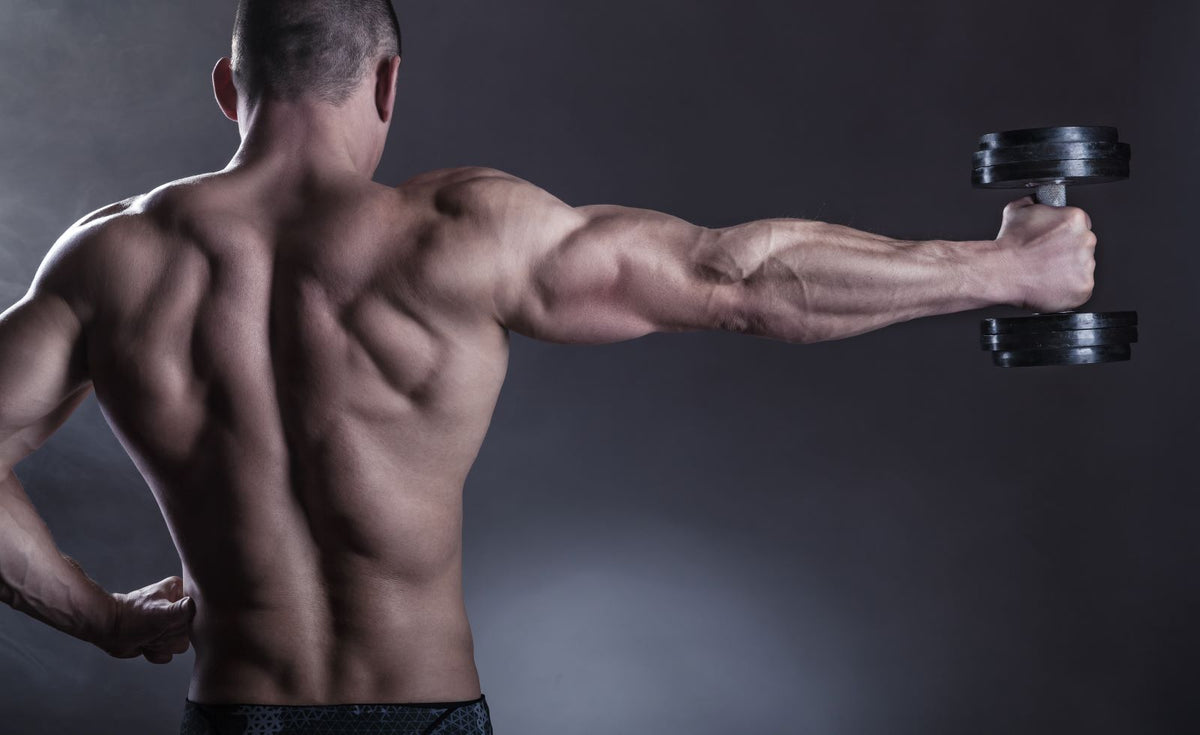 Why Chest And Tricep Workouts Are Important For Upper Body