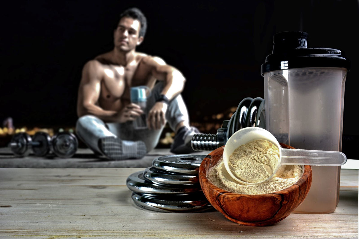 Grass-Fed vs. Grain-Fed Whey Protein: How Do They Compare